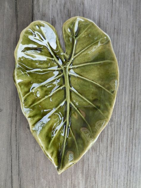 Plato Alocasia en Cerámica